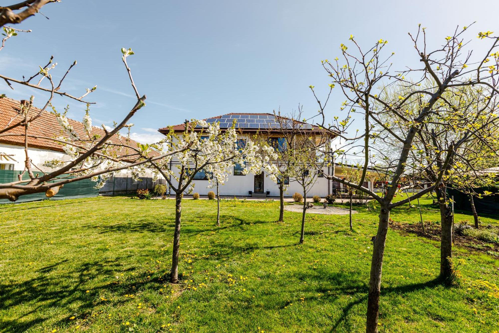 Gasthaus Sacalaz Hotel Timisoara Luaran gambar
